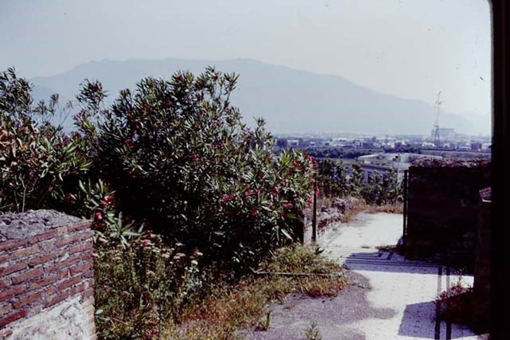 VIII.2.20 Pompeii. 1978. Looking south-west along the west side of the small peristyle area. The flooring in this area was of white mosaic with rows of black crosses and bordered by two lines of black tesserae. This passageway led to a corridor separated by a black and white mosaic threshold decorated with rectangles. Photo by Stanley A. Jashemski.   
Source: The Wilhelmina and Stanley A. Jashemski archive in the University of Maryland Library, Special Collections (See collection page) and made available under the Creative Commons Attribution-Non Commercial License v.4. See Licence and use details. J78f0231
