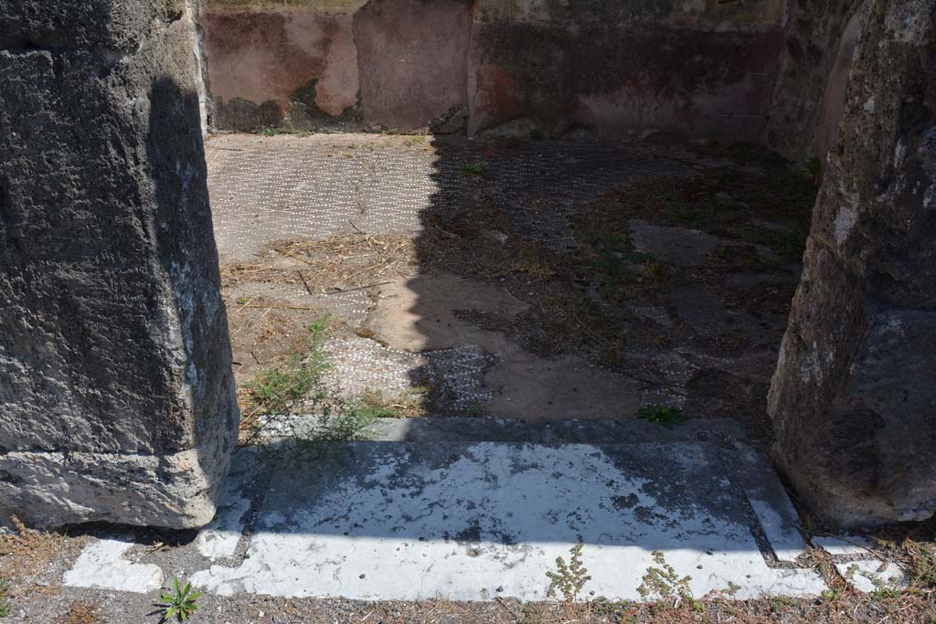 VIII.2.34 Pompeii. September 2019. Doorway threshold to cubiculum ‘g’.
Foto Annette Haug, ERC Grant 681269 DÉCOR.
