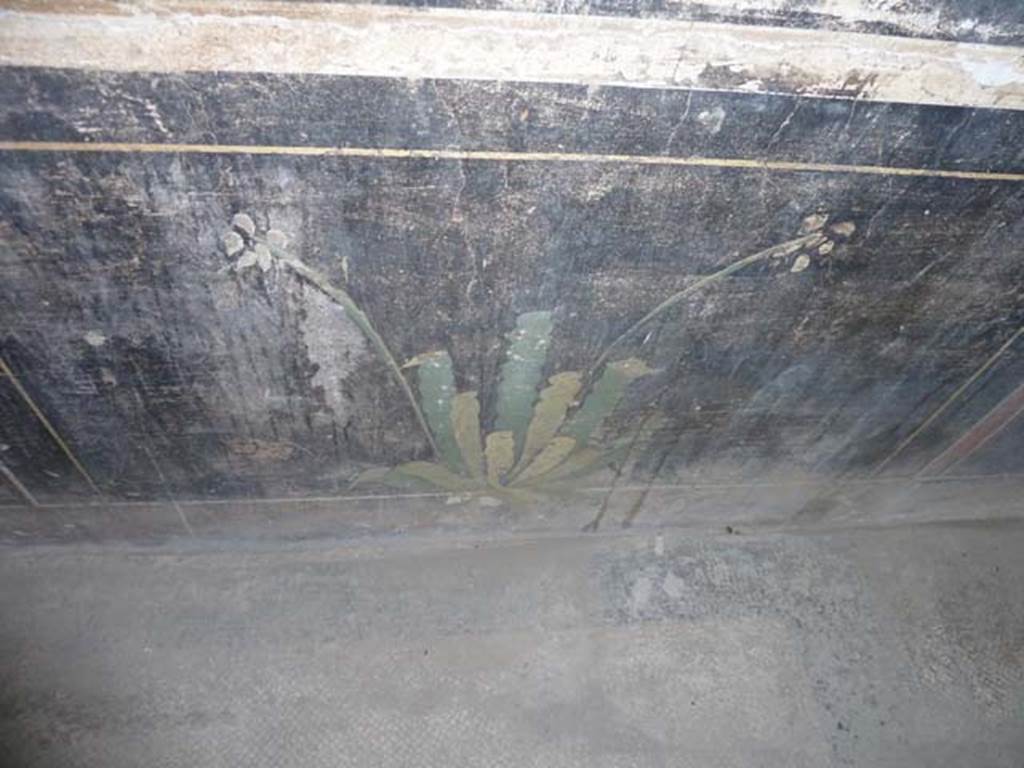 Oplontis Villa of Poppea, September 2015. Corridor 77, black zoccolo with plant on east wall.
