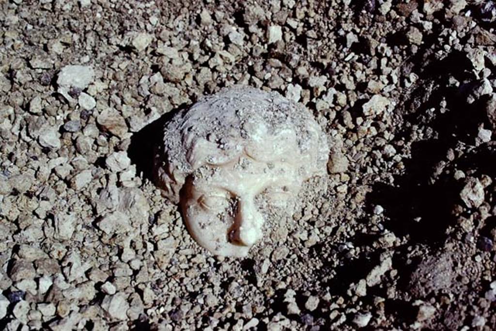 Oplontis, 1975. Marble head emerging from lapilli. Photo by Stanley A. Jashemski.   
Source: The Wilhelmina and Stanley A. Jashemski archive in the University of Maryland Library, Special Collections (See collection page) and made available under the Creative Commons Attribution-Non Commercial License v.4. See Licence and use details. J74f0900
According to Wilhelmina  There was great excitement when early in the morning a beautiful head of a woman sculptured from Greek marble came into view, then a marble shaft.
