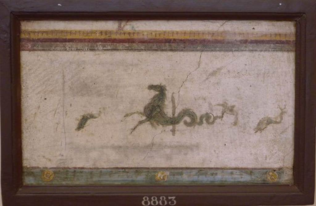 Stabiae, Villa Arianna, found 24th December 1760. Room E, painting of sea horses.
Now in Naples Archaeological Museum. Inventory number 8883.
See Sampaolo V. and Bragantini I., Eds, 2009. La Pittura Pompeiana. Electa: Verona, p. 477.
