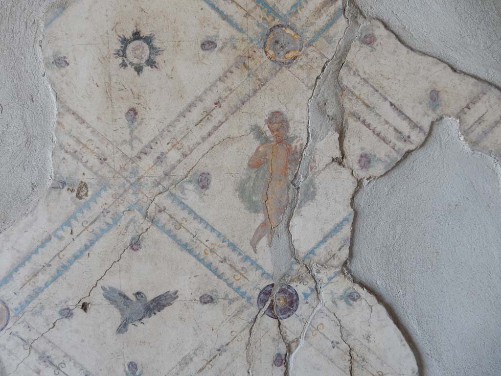 Stabiae, Villa Arianna, June 2019. Room 9, detail from east wall. Photo courtesy of Buzz Ferebee.