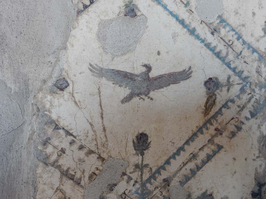Stabiae, Villa Arianna, June 2019. Room 9, detail of painted bird in panel at west end of south wall. Photo courtesy of Buzz Ferebee.