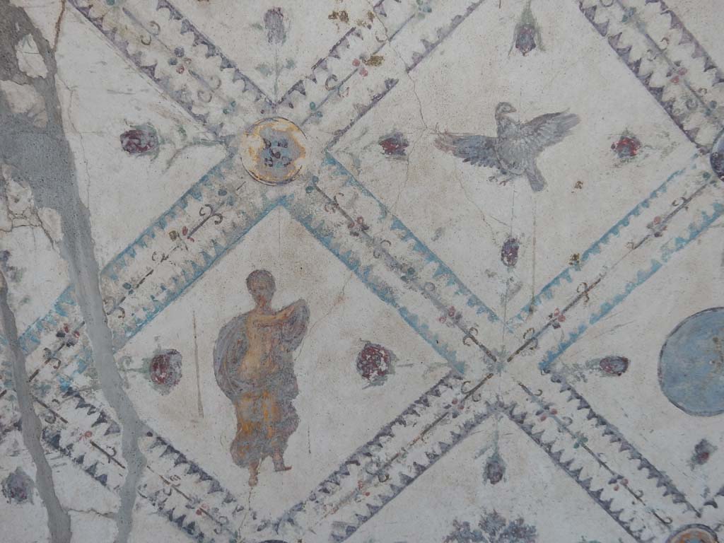 Stabiae, Villa Arianna, June 2019. Room 9, painted detail from west wall. Photo courtesy of Buzz Ferebee.