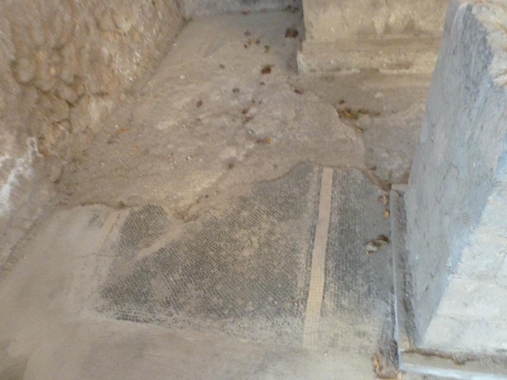 Stabiae, Villa Arianna, September 2015. Room 24, mosaic floor on north side of podium. 