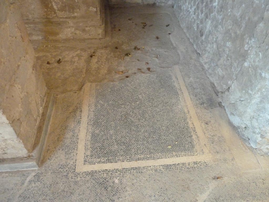 Stabiae, Villa Arianna, September 2015. Room 24, mosaic floor on south side of podium/altar.