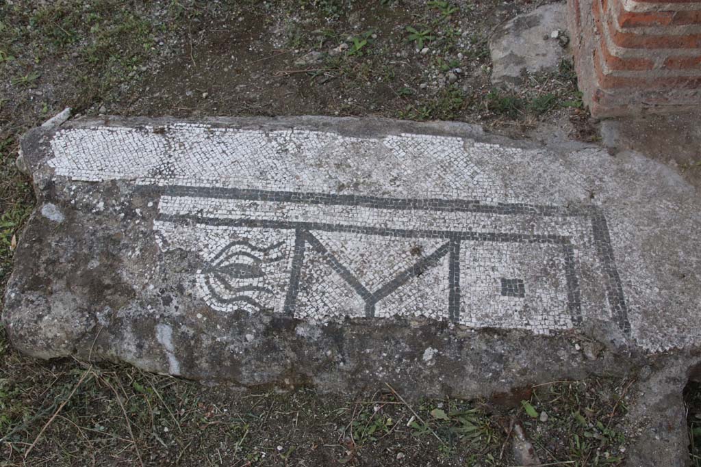 Stabiae, Villa Arianna, September 2021. Room on north side of tablinum, remains of mosaic flooring. Photo courtesy of Klaus Heese.