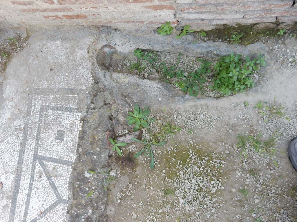 Stabiae, Villa Arianna, June 2019. Room on north side of tablinum, 18, remains of mosaic floor. Photo courtesy of Buzz Ferebee.