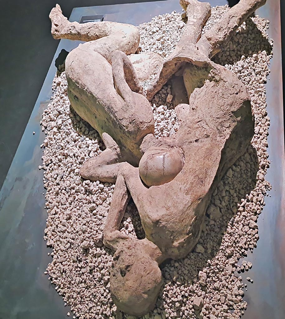 I.6.2 Pompeii. March 2024. Resin plaster cast of victims 21 (right) and 22 (left) found above the garden area. 
Photo courtesy of Giuseppe Ciaramella.
On display in exhibition in Palaestra entitled – “L’altra Pompei, vite comuni all’ombra del Vesuvio”. 

