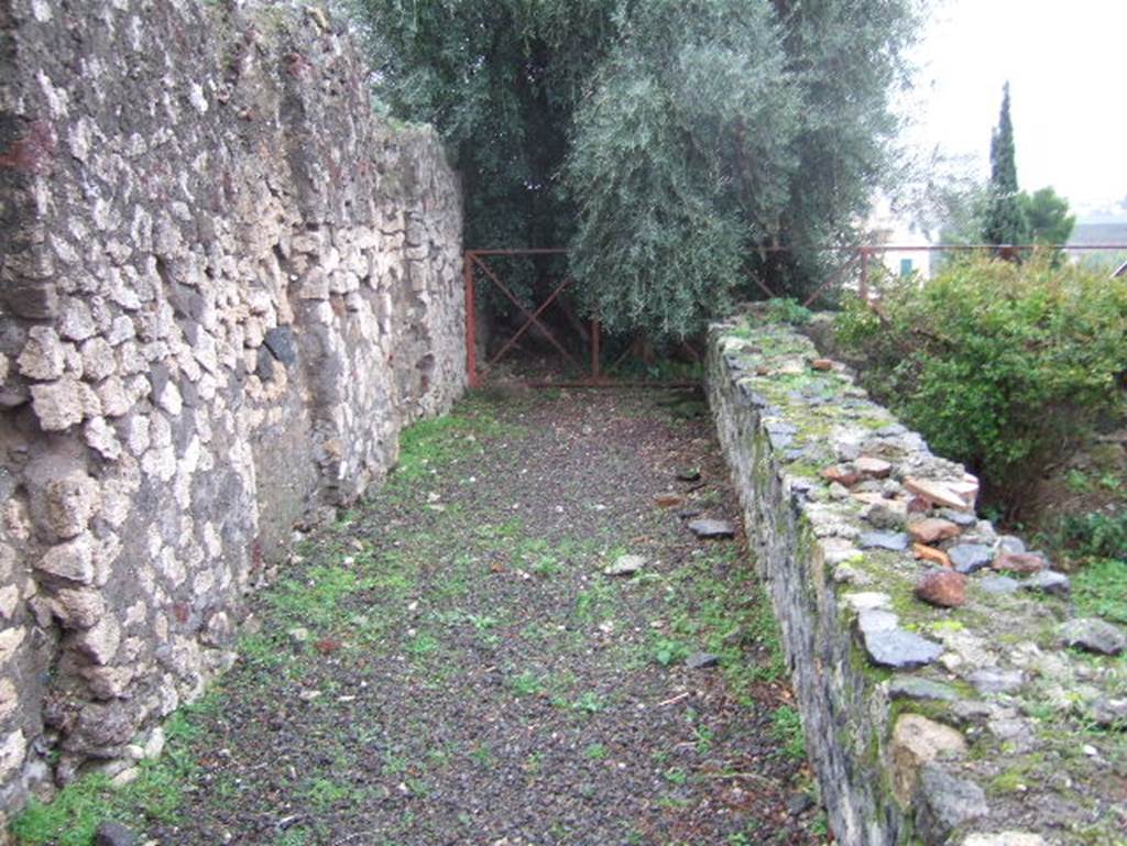 VIII.2.1 Pompeii. December 2005. Looking south along east side of peristyle garden. According to Boyce, off the south portico of the peristyle opened a sacrarium. See Boyce G. K., 1937. Corpus of the Lararia of Pompeii. Rome: MAAR 14. (p.74, no.341) 
