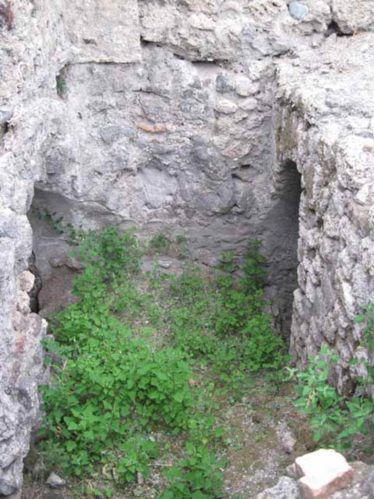 VIII.7.22/23/24 Pompeii. October 2010. Looking north towards end of corridor. On the left, entrance to underground vaulted room on west side of corridor.On the right, doorway to room on east side. Photo and information courtesy of Drew Baker/Gareth Beale/Hembo Pagi.

According to Boyce, in the north wall of a corridor leading from the underground kitchen to the posticum at VIII.7.22, was a large arched niche. This was I.0 metre high, 0.85 wide, 0.50 deep and 0.70 above the floor. The back wall of the niche was painted red, and on it was the figure of Fortuna, clad in a green tunic and yellow mantle. In her left hand she held a cornucopia, and in her right, a rudder. To the left of her feet was a large globe. The side walls of the niche and the area under the feet of the goddess were decorated with green plants. See Boyce G. K., 1937. Corpus of the Lararia of Pompeii. Rome: MAAR 14.  (p.78, no:378)

Fiorelli describes, VIII.7.22 as a corridor belonging to VIII.7.24, with stairs to upper floor.  Nearby is the kitchen, in which remains the niche of the Penates, with the image of Fortuna with cornucopia and rudder.
See Pappalardo, U., 2001. La Descrizione di Pompei per Giuseppe Fiorelli (1875). Napoli: Massa Editore. (p.134)
