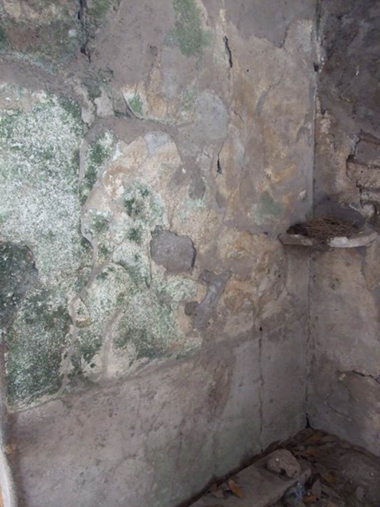 I.10.7 Pompeii. March 2009. Room 9, south wall.  
Remains of lararium, with painting of two serpents.
According to Boyce, the west end of the portico was closed off as a kitchen.
On the south wall beside the large hearth was a panel of white stucco.
Within were painted two large coiling serpents, yellow with scales indicated in red.
Both have a crest and beard and a protruding tongue.
Both coil from the left, one above the other, approaching a marble slab adorned with a lion’s head in relief.
This was set into the corner formed by the hearth and the south wall of the room at the level of their heads.
In the background were plants.
See Notizie degli Scavi di Antichità, 1934, 282, and fig.8.
See Boyce G. K., 1937. Corpus of the Lararia of Pompeii. Rome: MAAR 14. (p.29, no.56, and Pl.27, 2) 

