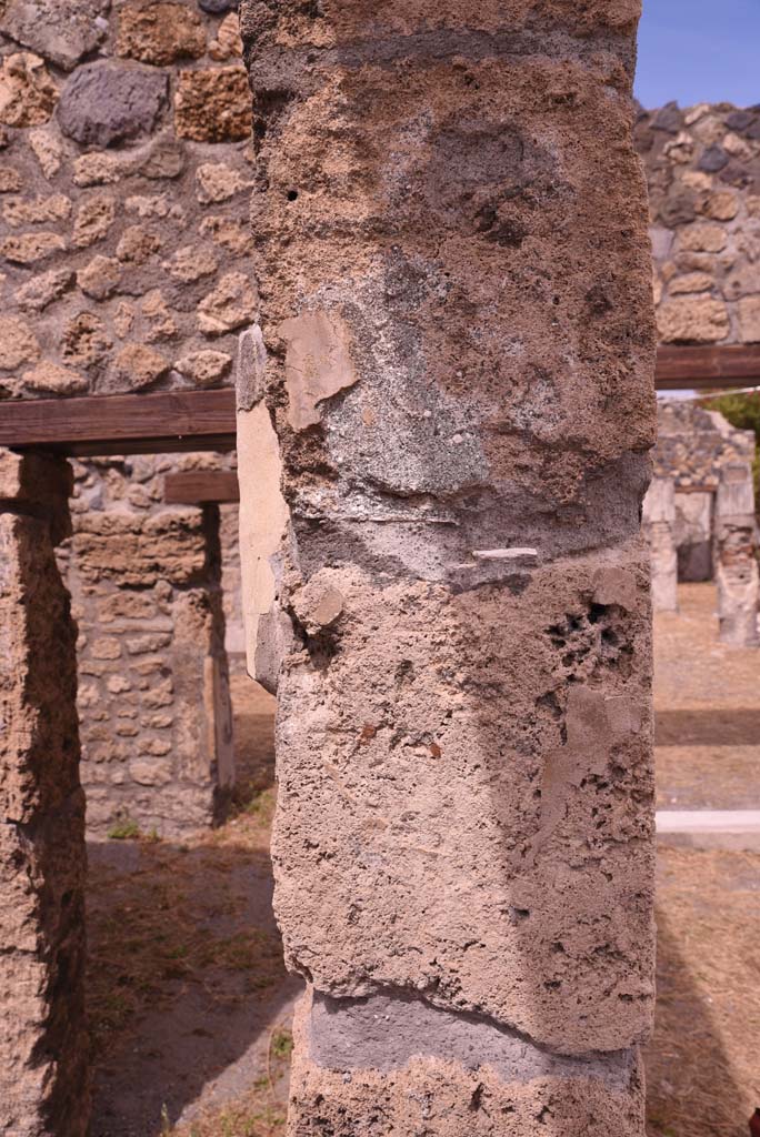 I.4.25 Pompeii. September 2020. Room 37, looking north to detail from north doorway pilaster.
Foto Tobias Busen, ERC Grant 681269 DCOR.

