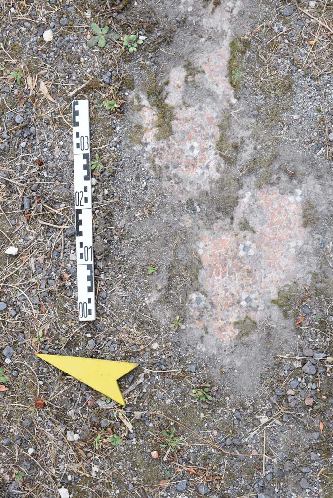 I.4.25 Pompeii. September 2020. Upper Peristyle 56, detail of flooring.
Foto Tobias Busen, ERC Grant 681269 DCOR
