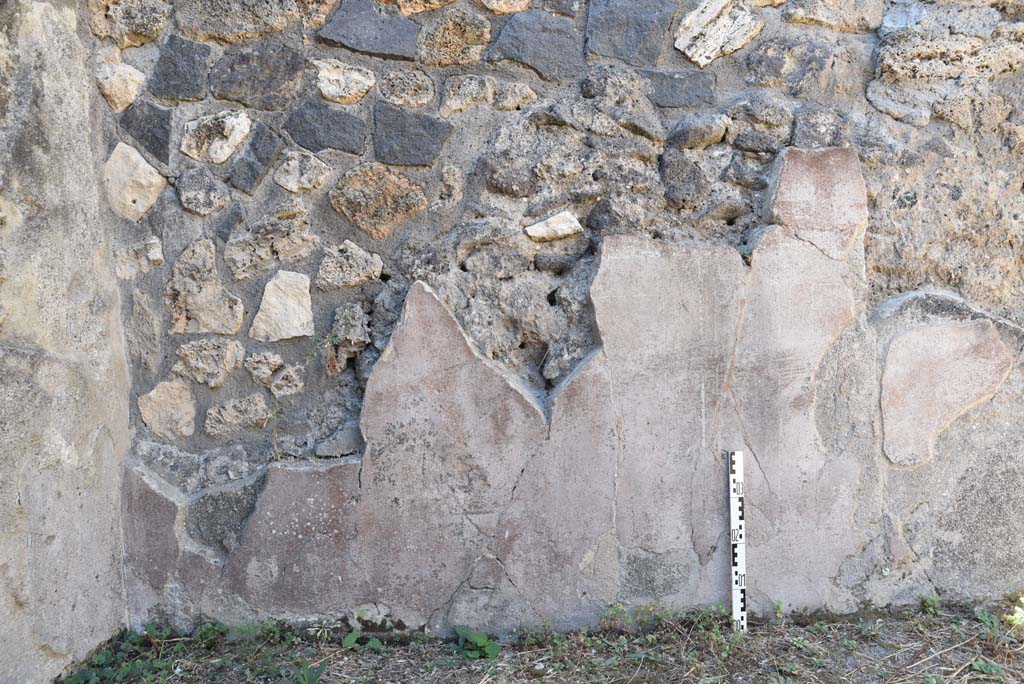 I.4.25 Pompeii. September 2020. Room 57, detail from west wall at south end.
Foto Tobias Busen, ERC Grant 681269 DCOR.
