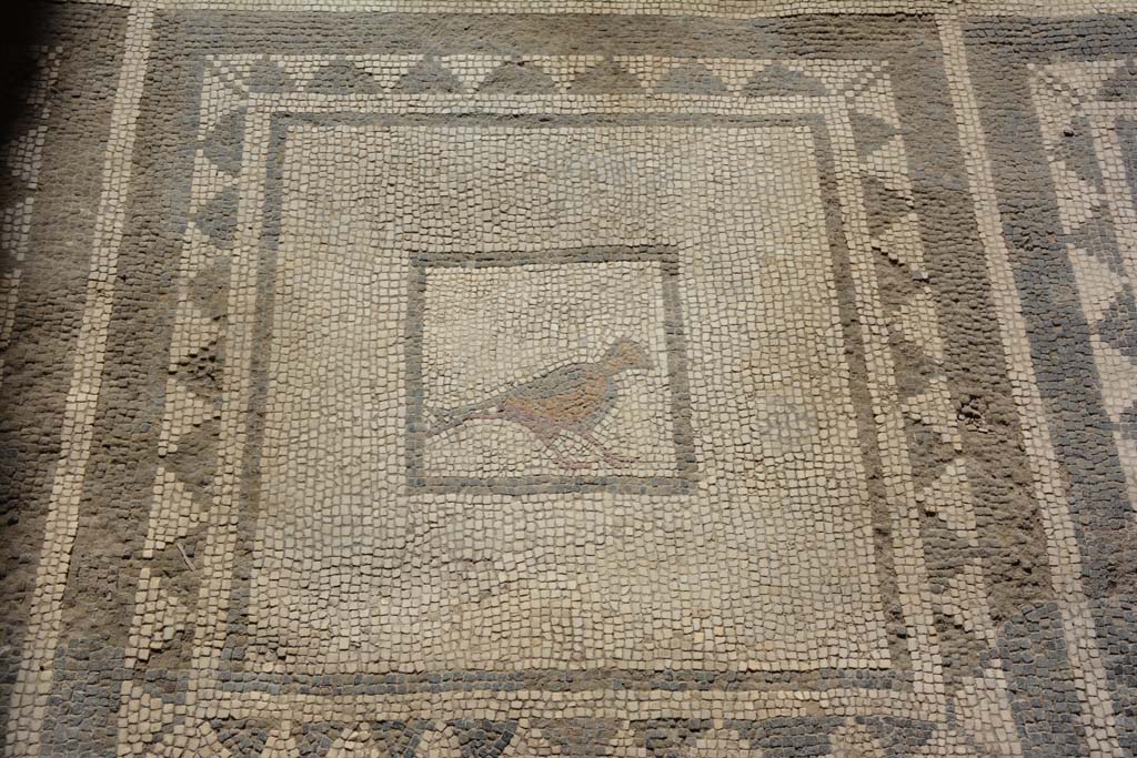 I.7.1 Pompeii. May 2016. Detail from mosaic floor. Photo courtesy of Buzz Ferebee.