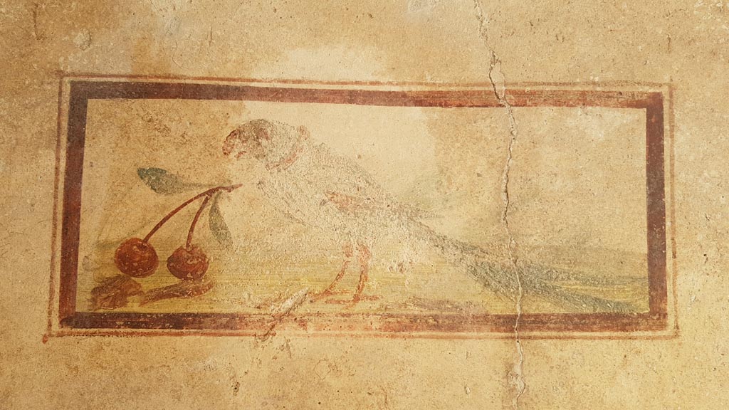 I.7.11 Pompeii. August 2023. 
Wall painting of bird with cherry from north end of west wall of cubiculum. Photo courtesy of Maribel Velasco.


