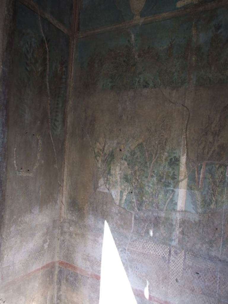 I.9.5 Pompeii. March 2009. Room 5.  Cubiculum.  North west corner.  Garden painting.