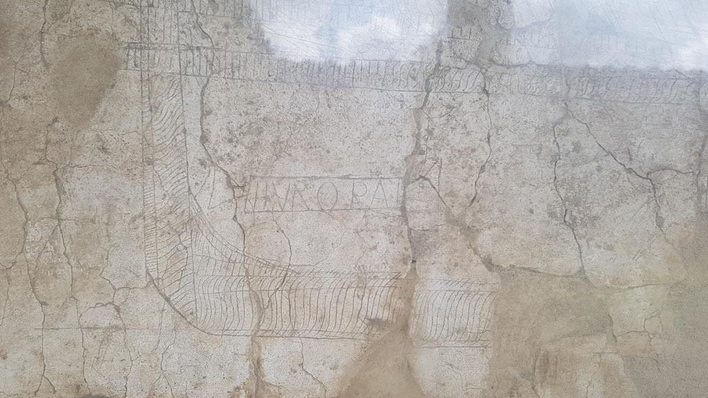 I.15.3 Pompeii. August 2023. North wall of portico 10. Ship with name Europa. Photo courtesy of Maribel Velasco.