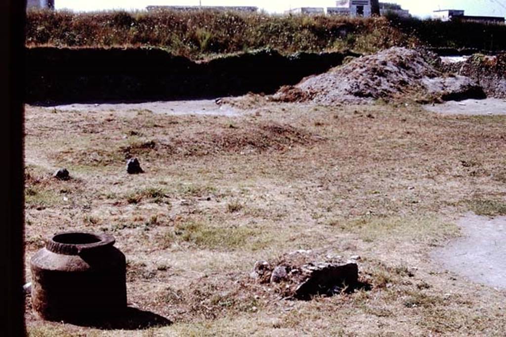 I.20.1 Pompeii. 1972. Looking south-west across vineyard. Photo by Stanley A. Jashemski. 
Source: The Wilhelmina and Stanley A. Jashemski archive in the University of Maryland Library, Special Collections (See collection page) and made available under the Creative Commons Attribution-Non Commercial License v.4. See Licence and use details. J72f0556
