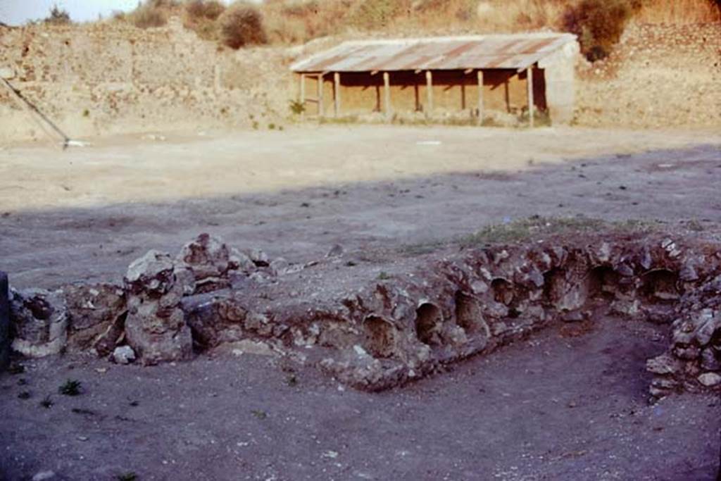 I.21.6 Pompeii. 1974. Looking south-east across triclinium in garden area. Photo by Stanley A. Jashemski.   
Source: The Wilhelmina and Stanley A. Jashemski archive in the University of Maryland Library, Special Collections (See collection page) and made available under the Creative Commons Attribution-Non Commercial License v.4. See Licence and use details. J74f0729
