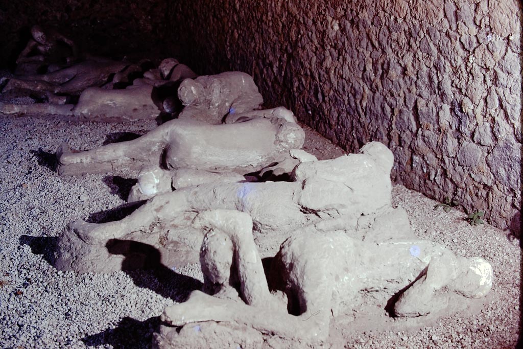I.21.6 Pompeii. 1974. Plaster casts of bodies. Photo by Stanley A. Jashemski.   
Source: The Wilhelmina and Stanley A. Jashemski archive in the University of Maryland Library, Special Collections (See collection page) and made available under the Creative Commons Attribution-Non-Commercial License v.4. See Licence and use details.
J74f0223

