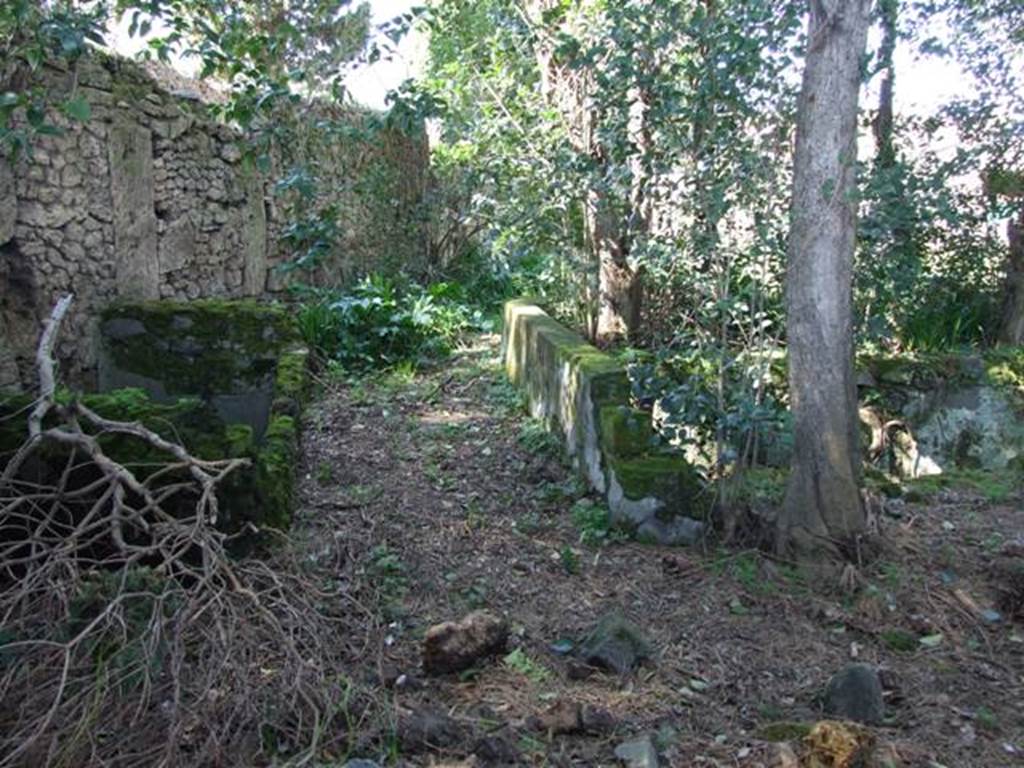 II.3.9 Pompeii.  March 2009.  West side of garden area, with Sarno canal.