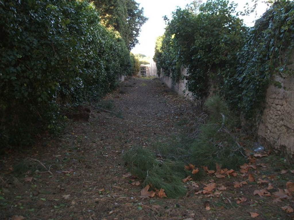 II.2 Pompeii. December 2005. Vicolo della Venere,looking north. Side wall of II.3.9