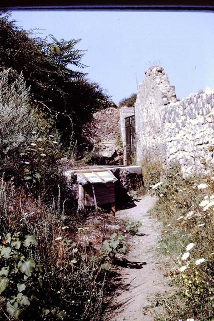 II.5.3 Pompeii. 1972. Looking west towards interior of entrance doorway. Photo by Stanley A. Jashemski. 
Source: The Wilhelmina and Stanley A. Jashemski archive in the University of Maryland Library, Special Collections (See collection page) and made available under the Creative Commons Attribution-Non Commercial License v.4. See Licence and use details. J72f0552
