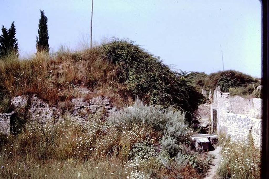 11.5 Pompeii. 1972. Looking west towards unexcavated mound with Sarno canal drainage inspection chamber, and entrance doorway at II.5.3. Photo by Stanley A. Jashemski. 
Source: The Wilhelmina and Stanley A. Jashemski archive in the University of Maryland Library, Special Collections (See collection page) and made available under the Creative Commons Attribution-Non Commercial License v.4. See Licence and use details. J72f0550
