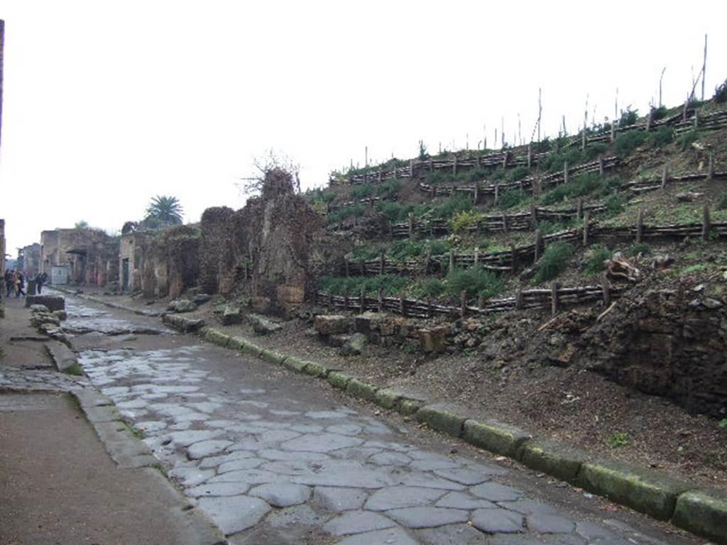 III.7.1, centre left, and III.7.2, on right. December 2005. Front of insula III.7 on Via dell’Abbondanza, looking west

