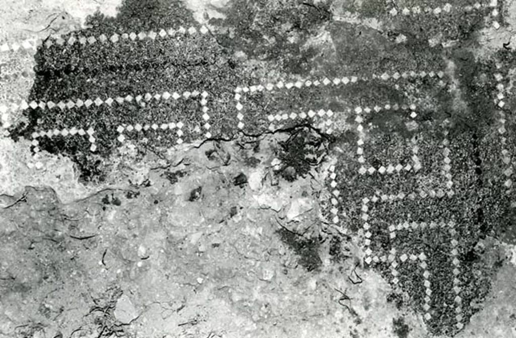 V.1.7 Pompeii. 1972. House of the Bull, second doorway, third room, E of atrium, floor.  Photo courtesy of Anne Laidlaw.
American Academy in Rome, Photographic Archive. Laidlaw collection _P_72_8_28.
