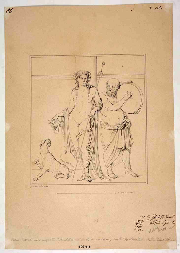 V.1.7 or VIII.3.4 Pompeii? In the ICCD scheda this is recorded as from VIII.3.4 with the note “but it is not certain”.
According to Mary Harrsch, it may be from V.1.7.
Drawing by Giuseppe Abbate, 1843, of painting of Bacchus with Silenus playing the tambourine.
According to the ICCD Scheda, “La collocazione della pittura raffigurata nel disegno nella Casa di Ercole e Auge a Pompei (VIII 3, 4) non è sicura.”
Now in Naples Archaeological Museum. Inventory number ADS 811.
Photo © ICCD. https://www.catalogo.beniculturali.it
Utilizzabili alle condizioni della licenza Attribuzione - Non commerciale - Condividi allo stesso modo 2.5 Italia (CC BY-NC-SA 2.5 IT)
According to PPM this has been wrongly identified with this house as Silenus was originally identified as playing a lyre.
See Carratelli, G. P., 1990-2003. Pompei: Pitture e Mosaici: Vol. VIII. Roma: Istituto della enciclopedia italiana, p. 357.
The wording below the drawing reads – 
“Painting excavated in the presence of Duke d’Omal in a house before the crossroads of the Strada della Fortuna”
See Helbig, W., 1868. Wandgemälde der vom Vesuv verschütteten Städte Campaniens. Leipzig: Breitkopf und Härtel, (395b).
According to Mary Harrsch [email], “I read your reference to a drawing of Dionysos and Silenus playing a tambourine where you pointed out that the fresco was misidentified as one within the Casa di Ercole ed Auge and mentioned it was recorded "Painting excavated in the presence of Duke d’Omal in a house before the crossroads of the Strada della Fortuna." Recently, I wrote an article about the House of the (Bronze) Bull and while researching that site, I translated the section of PAH volume 2 that described the excavation (according to the Swedish Pompeii Project), and each time the excavators appeared to be discussing the work there, they referred to the location as "before the crossroads of the Strada della Fortuna”. The PAH also describes multiple visits by nobility. So, I think that fresco was found in what is now known as the House of the Bull (V.1.7).”

