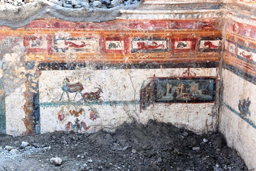 V.6.12 Pompeii. November 2018. Amb. 9. Cubiculum. Upper wall during excavation. 
The upper border is decorated with small red and orange panels with sea creatures
Underneath are goats or deer and a small panel painted with a sacred landscape.

Cubiculum. Parete superiore durante gli scavi.
Il bordo superiore è decorato con piccoli pannelli rossi e arancioni con creature marine
Sotto ci sono capre o cervi e una piccola scena dipinta con un paesaggio sacro.

Photograph © Parco Archeologico di Pompei.
