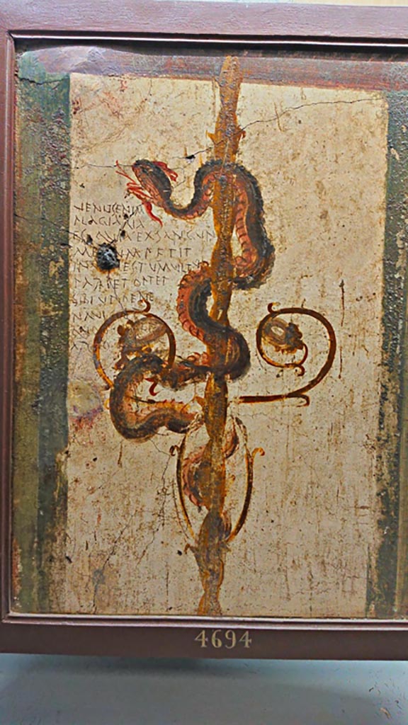 VI.7.6 Pompeii. Found in 1835, room 2, cubiculum.
Detail of painting of a serpent, bringer of good fortune, with graffiti. 
Now in Naples Archaeological Museum. Inventory number 4694.
Photo courtesy of Giuseppe Ciaramella, June 2017.
