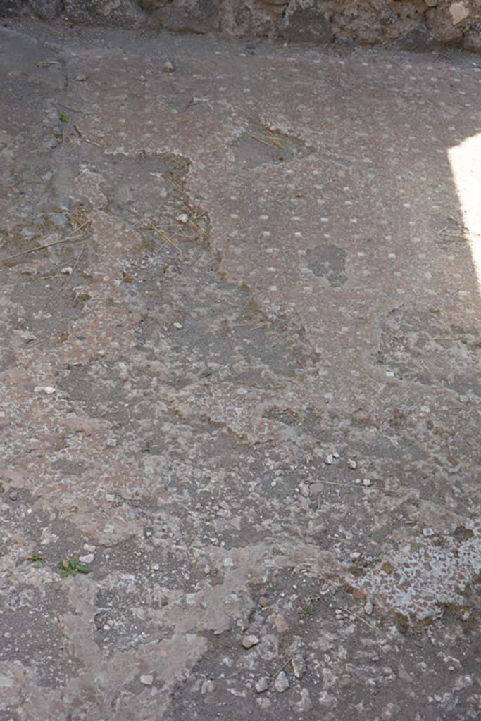 VI.9.4 Pompeii. July 2017. Room 15, detail of flooring. 
Foto Annette Haug, ERC Grant 681269 DÉCOR.
