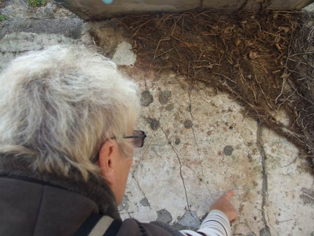 VI.16.28 Pompeii.  March 2009. Room I, West wall,  Pointing (not touching) to small painted figures.  