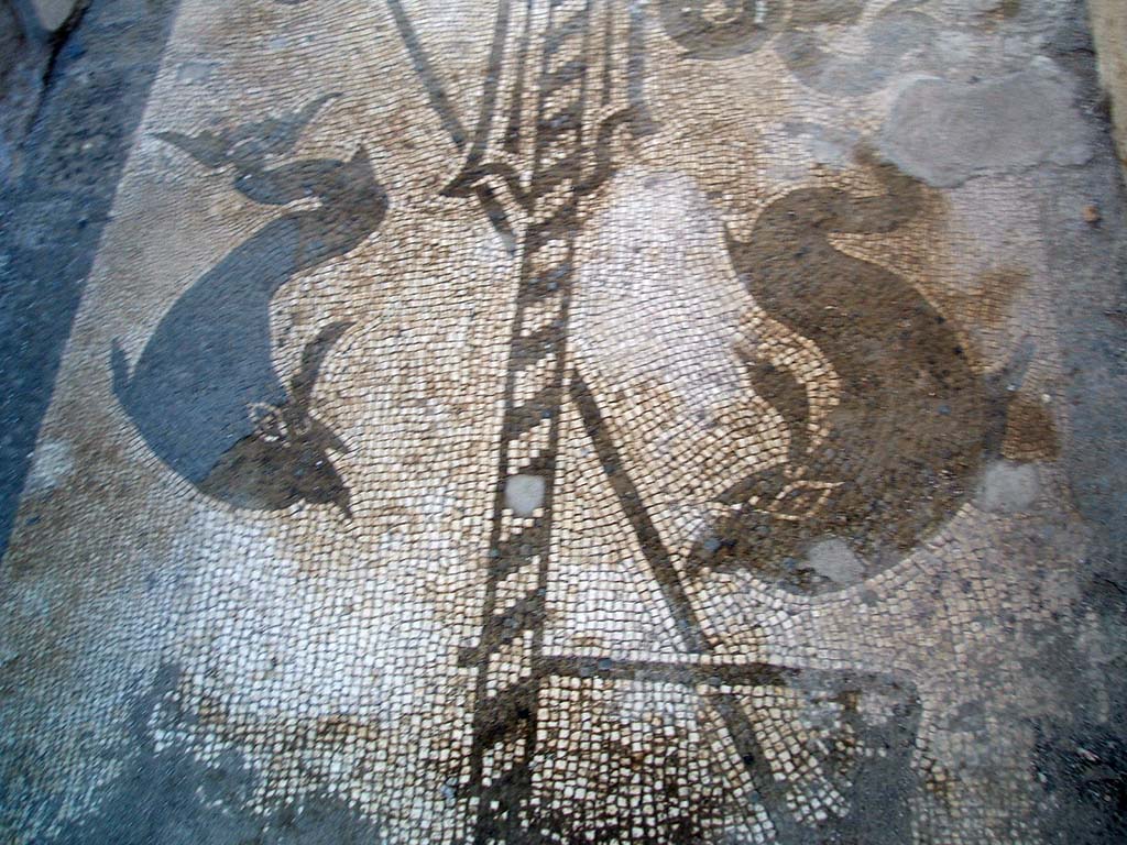 VII.1.40 Pompeii. December 2004. Mosaic in entrance corridor.