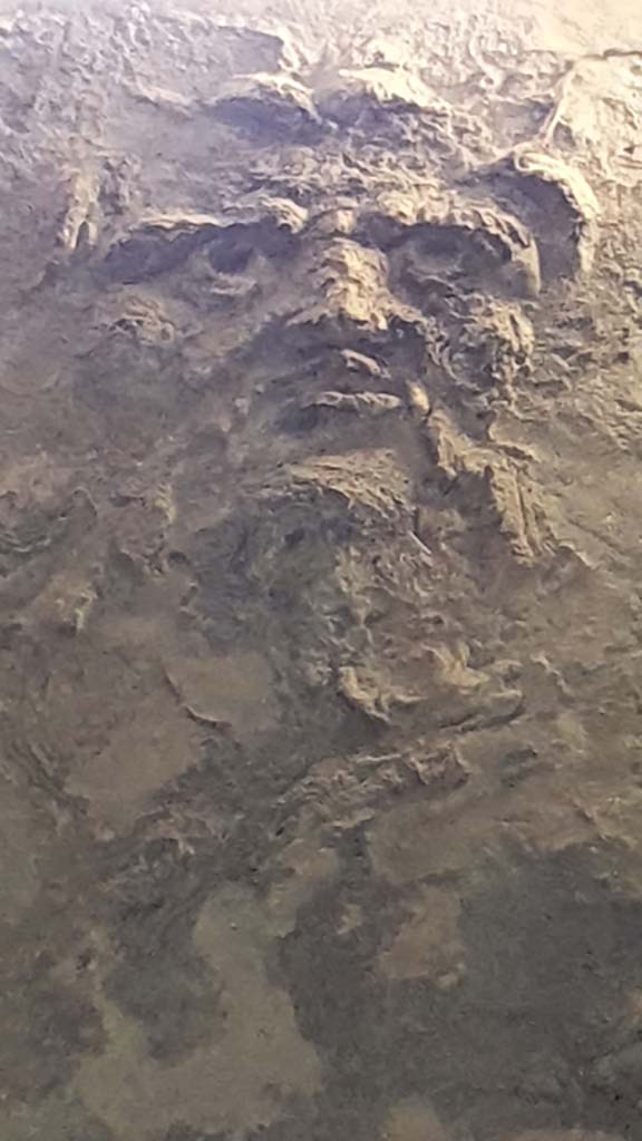 VII.5.24 Pompeii. August 2021. 
Changing room (14), detail of stucco mask of Oceanus beneath window.
Foto Annette Haug, ERC Grant 681269 DÉCOR.

