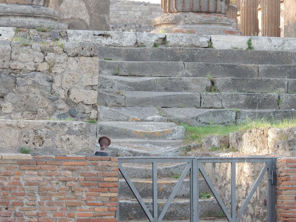 VII.8.1 Pompeii. June 2019. Looking north to well-worn steps on west side, leading up the podium. 
Photo courtesy of Buzz Ferebee. 
