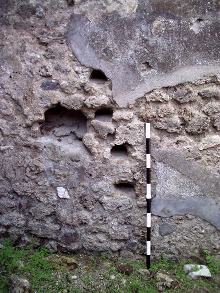 VII.12.11 Pompeii. July 2008. North wall. Photo courtesy of Jared Benton.