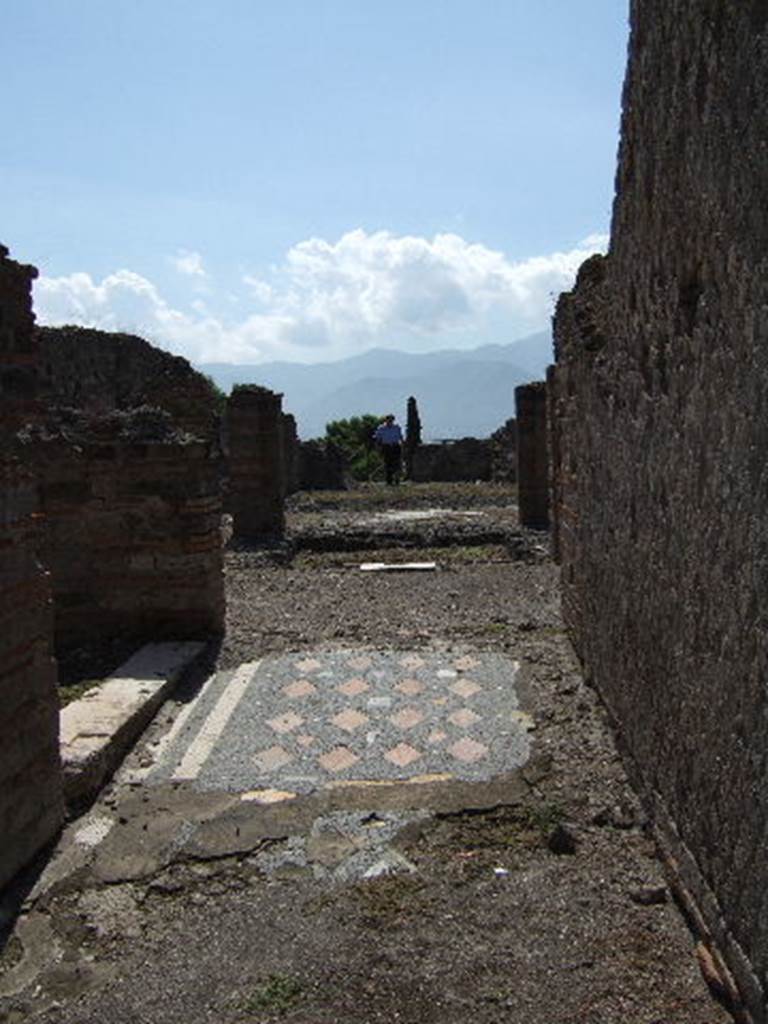VIII.2.29 Pompeii. September 2005. Mosaic in entrance corridor.