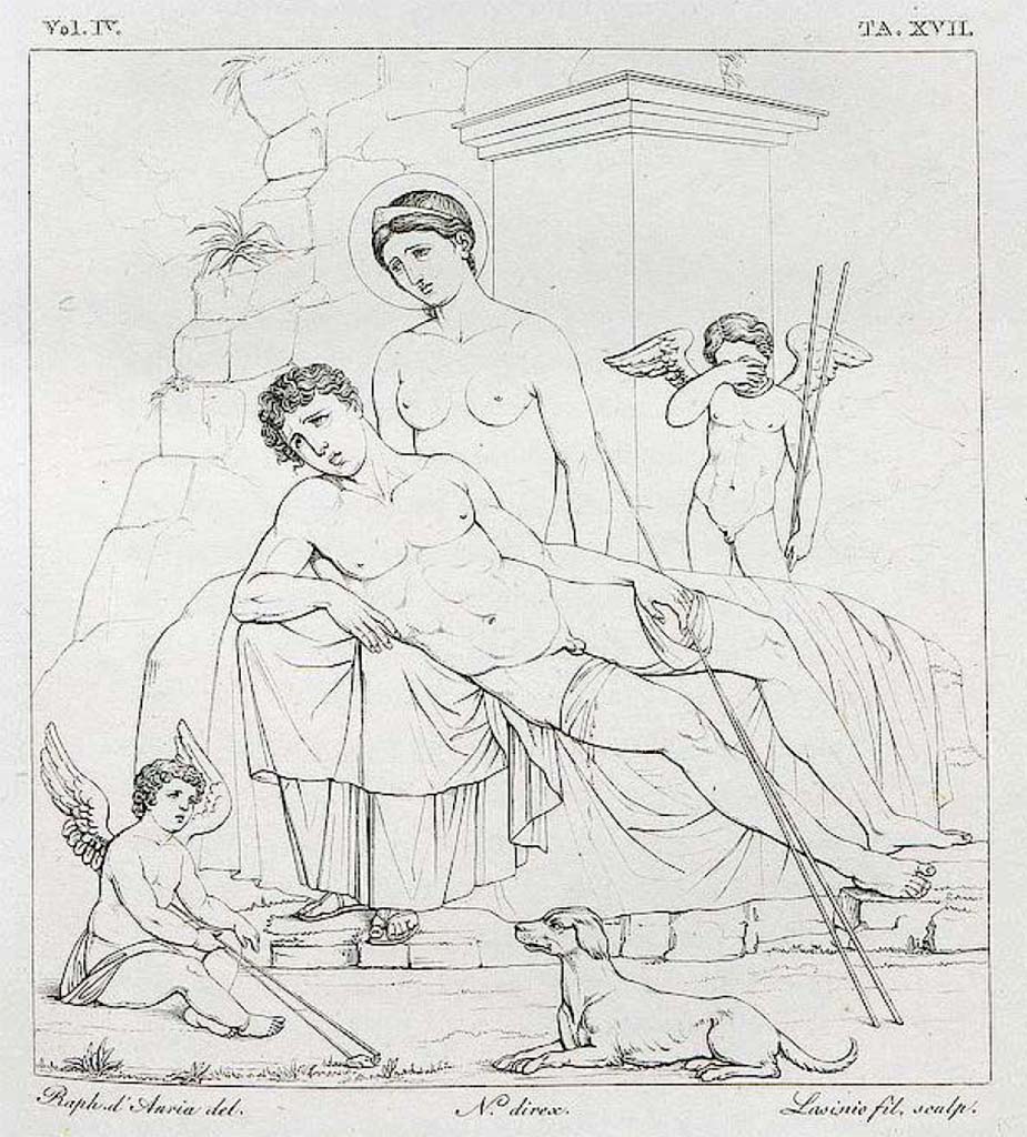 VIII.3.12 Pompeii. Pre-1827. Drawing of painting of Venus and Adonis from Pompeii
According to Real Museo Borbonico, vol. IV. Tav. XVII –
“To the right of the Pompeian road that passes by the side of the Crypt of Eumachia, introduced from the Forum opposite the Basilica, a house was found called “del Cerusico” because of some surgical instruments found in the atrium, was painted in the middle of the beautiful grotesque style paintings, the painting that we publish here …..”
See Real Museo Borbonico, Vol. IV, tav. XVII.
