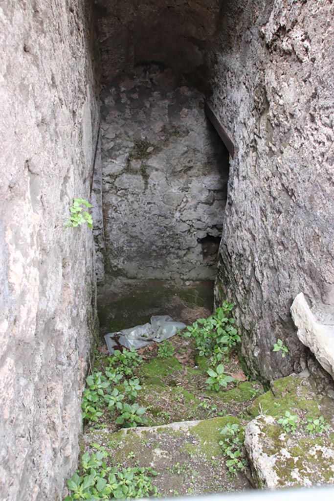 VIII.3.17 Pompeii. May 2024. Steps down to cellar. Photo courtesy of Klaus Heese.