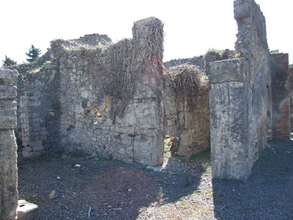 VIII.5.9 Pompeii.  March 2009.  Room 8, Ala on east side of atrium, with door to Room 7, Corridor to North Portico and Garden.