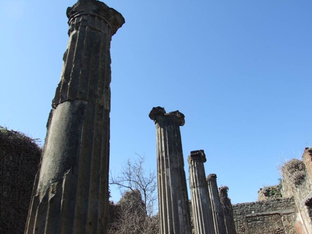 VIII.5.9 Pompeii.  March 2009.   North Portico columns.  

