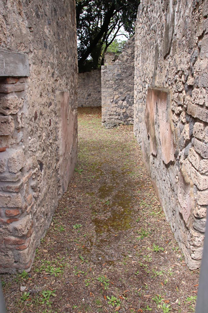 VIII.6.5 Pompeii. May 2024.  
Looking north along entrance corridor from doorway. Photo courtesy of Klaus Heese.

