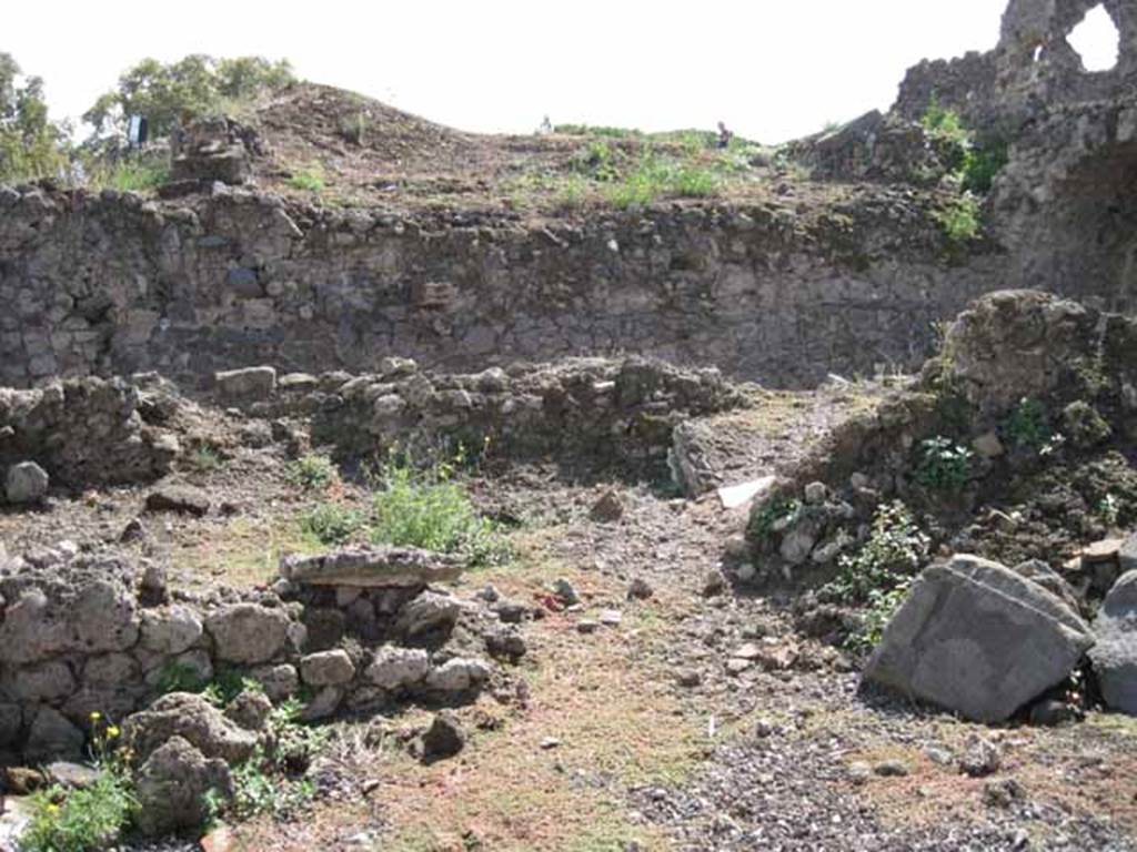 VIII.7.23 Pompeii. September 2010. South wall with entrance, leading to a long, narrow room. Photo courtesy of Drew Baker. This is most likely the remains of the doorway to the kitchen and perhaps a storeroom, on the south side of the shop. The other wall, in the background, is the south wall of VIII.7.22. 
