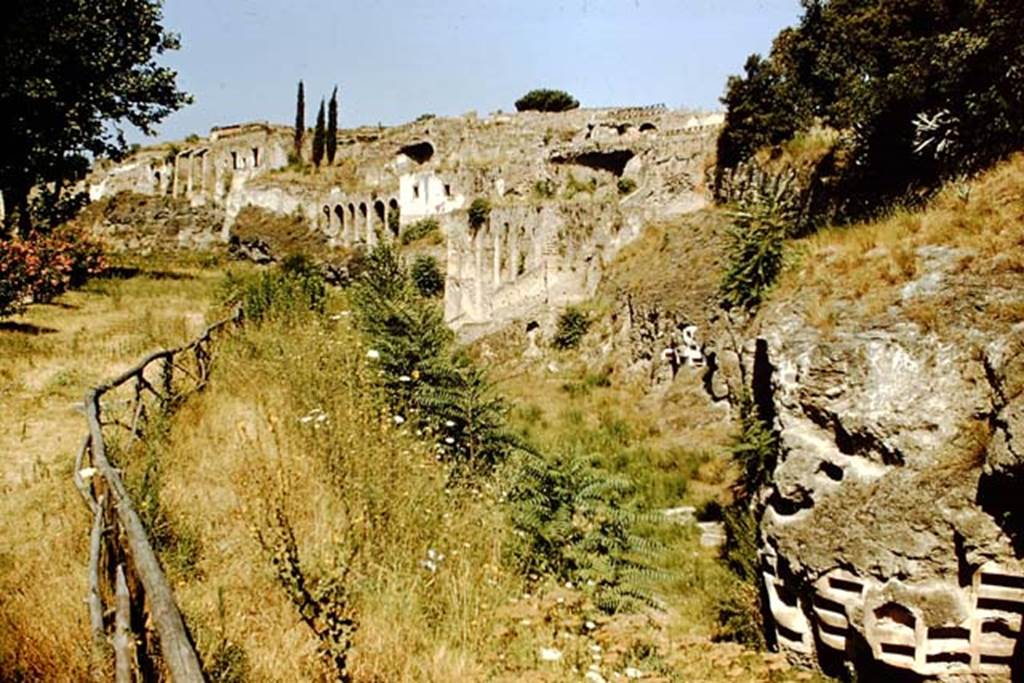 VIII.7.30 Pompeii and walls near Triangular Forum from outside city. 1959. Looking west along the rear of VIII.2. Photo by Stanley A. Jashemski.
Source: The Wilhelmina and Stanley A. Jashemski archive in the University of Maryland Library, Special Collections (See collection page) and made available under the Creative Commons Attribution-Non Commercial License v.4. See Licence and use details.
J59f0417
