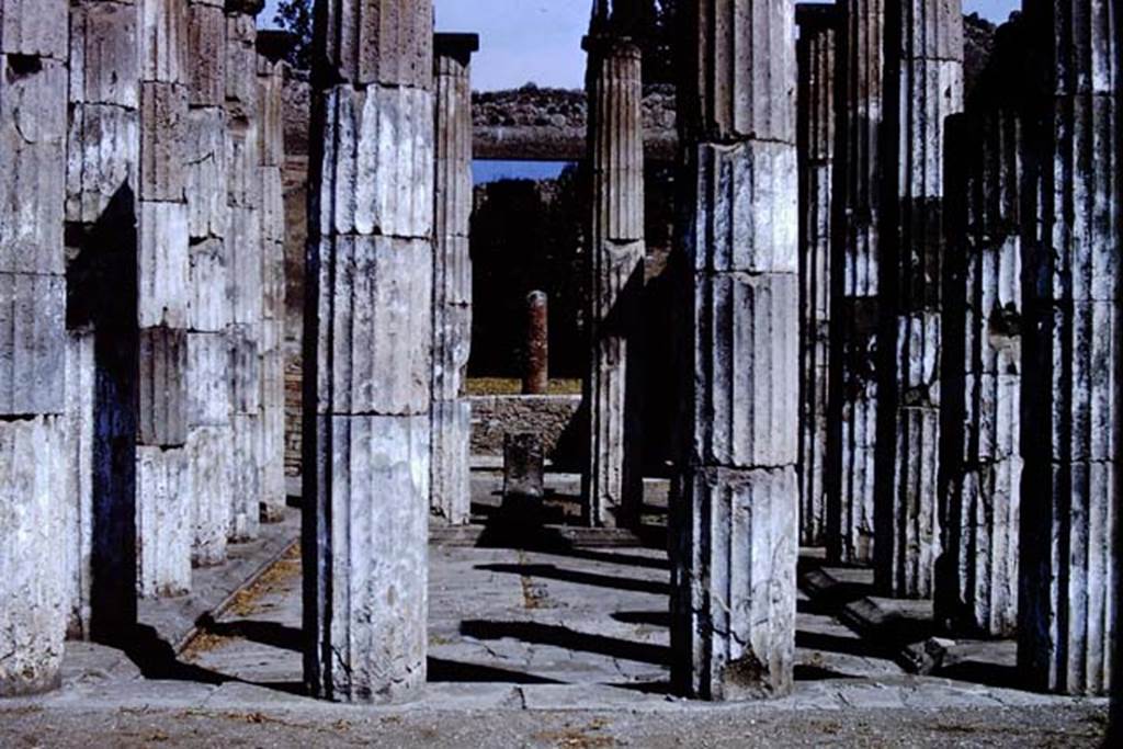 IX.1.20Pompeii. 1966. Room 2, looking north across impluvium.  Photo by Stanley A. Jashemski.
Source: The Wilhelmina and Stanley A. Jashemski archive in the University of Maryland Library, Special Collections (See collection page) and made available under the Creative Commons Attribution-Non Commercial License v.4. See Licence and use details.
J66f0466
